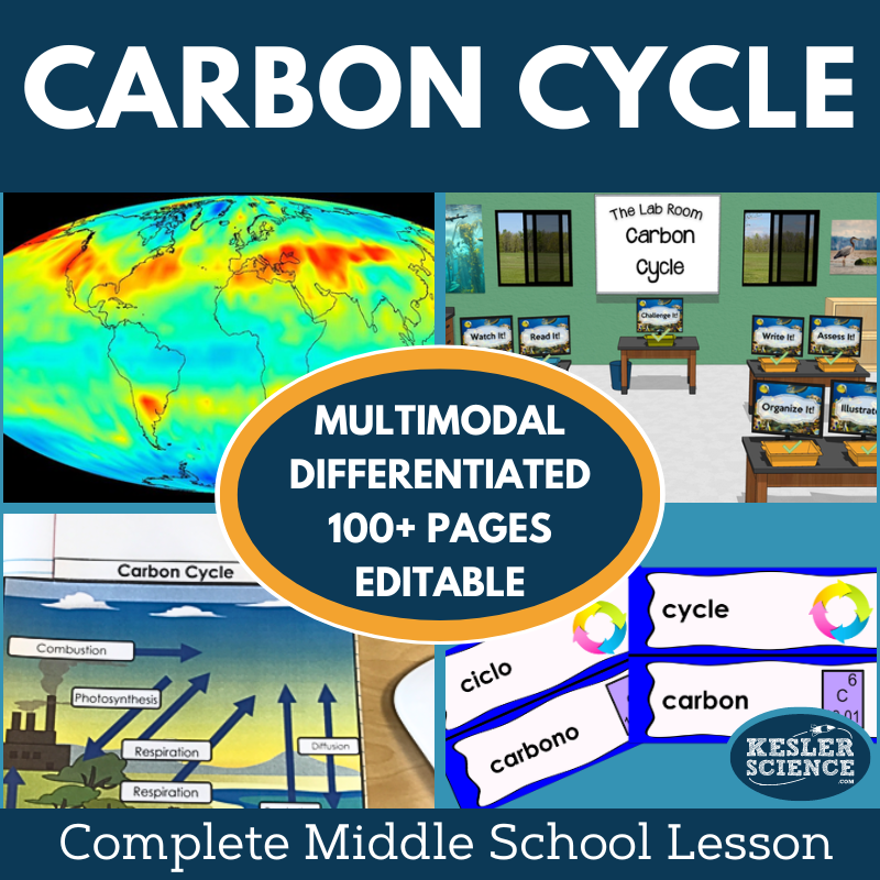 Carbon Cycle Activities for Middle School Science