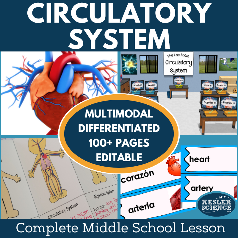 Cover 2024 5E Circulatory System-1
