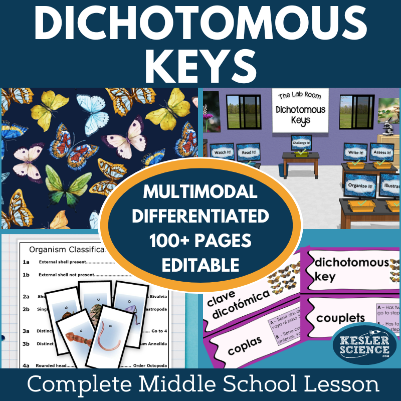 Cover 2024 5E Dichotomous Keys-1