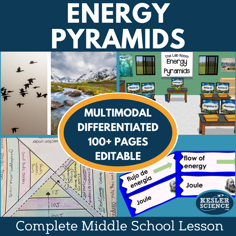 Cover 2024 5E Energy Pyramids