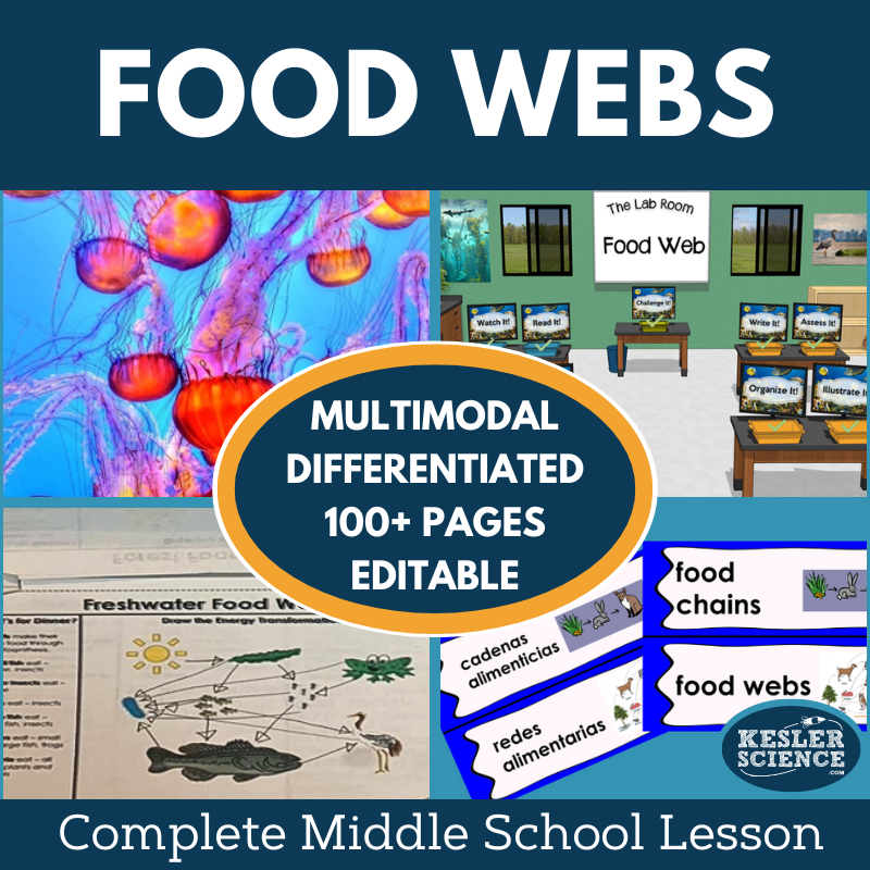 Cover 2024 5E Food Webs