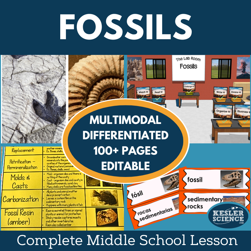 Cover 2024 5E Fossils