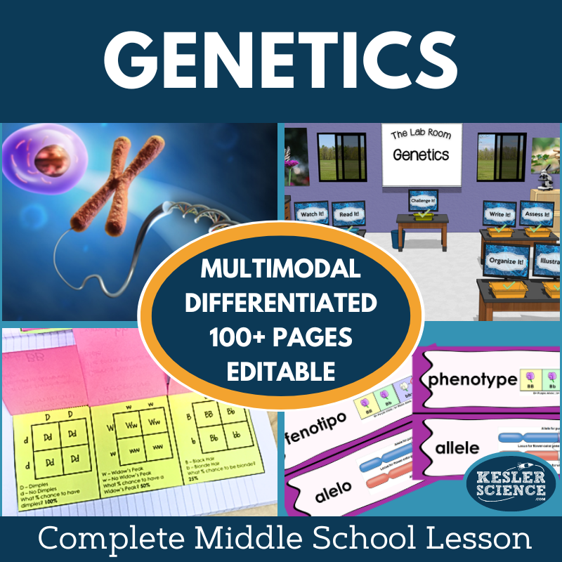 Cover 2024 5E Genetics