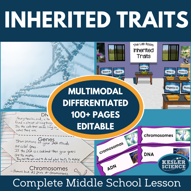 Cover 2024 5E Inherited Traits-1