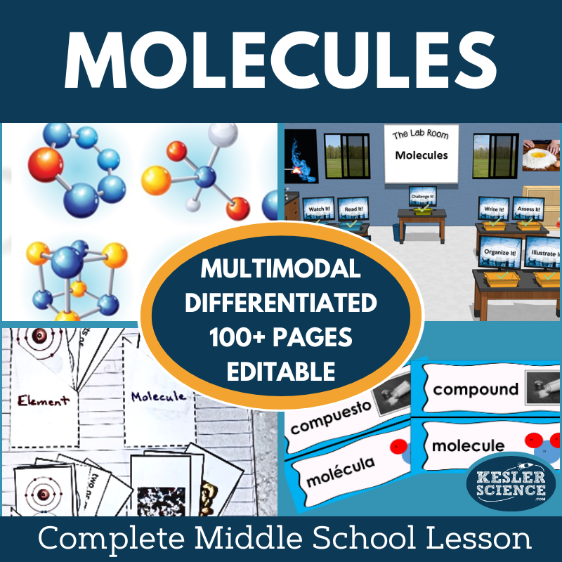 Cover 2024 5E Molecules