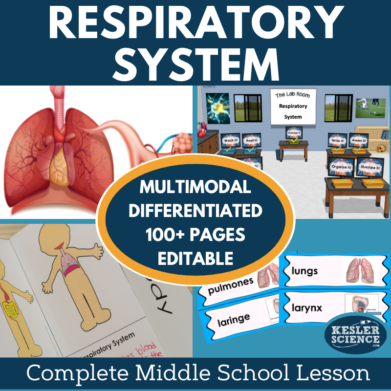 Cover 2024 5E Respiratory System-1