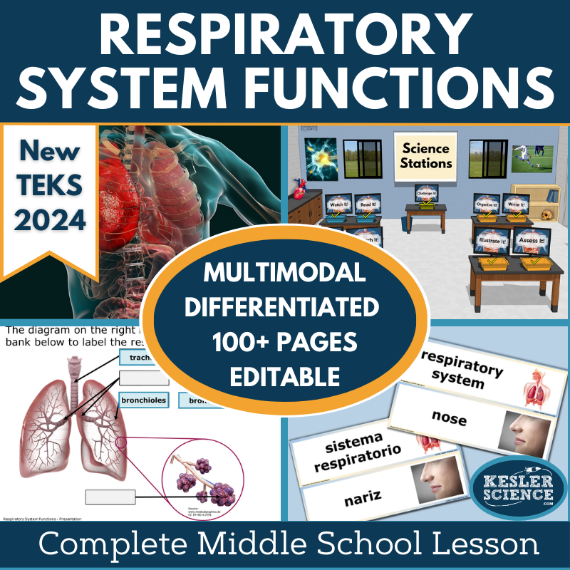 Cover 2024 5E Respiratory System