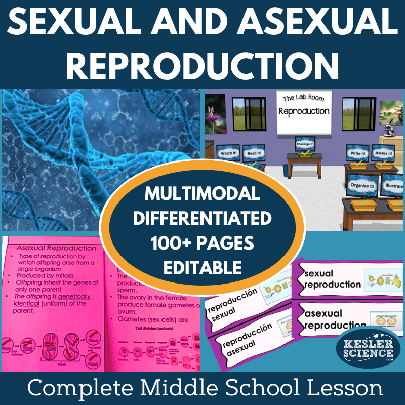 Sexual and Asexual Reproduction Activities for Middle School Science