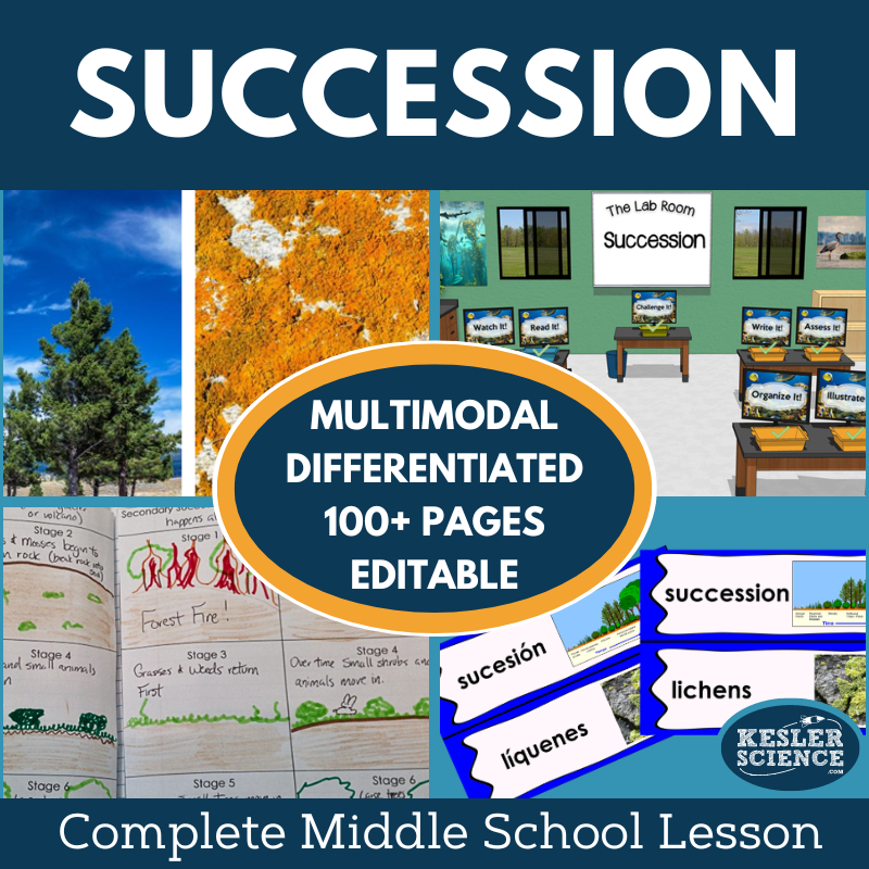 Cover 2024 5E Succession-1