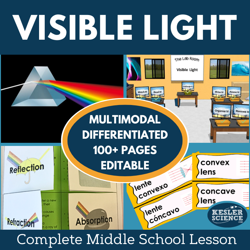 Cover 2024 5E Visible Light-1
