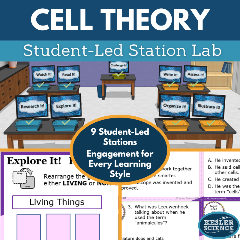 Cover 2024 SL Cell Theory