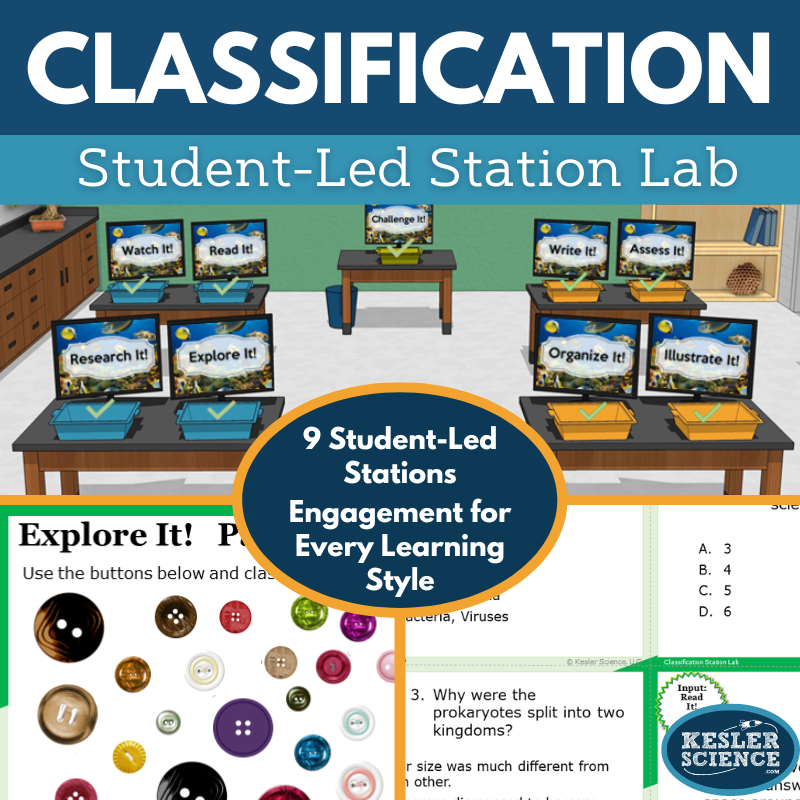 Cover 2024 SL Classification