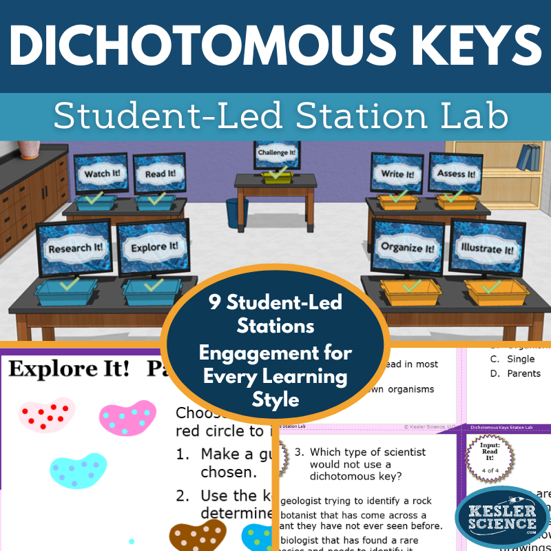 Cover 2024 SL Dichotomous Keys