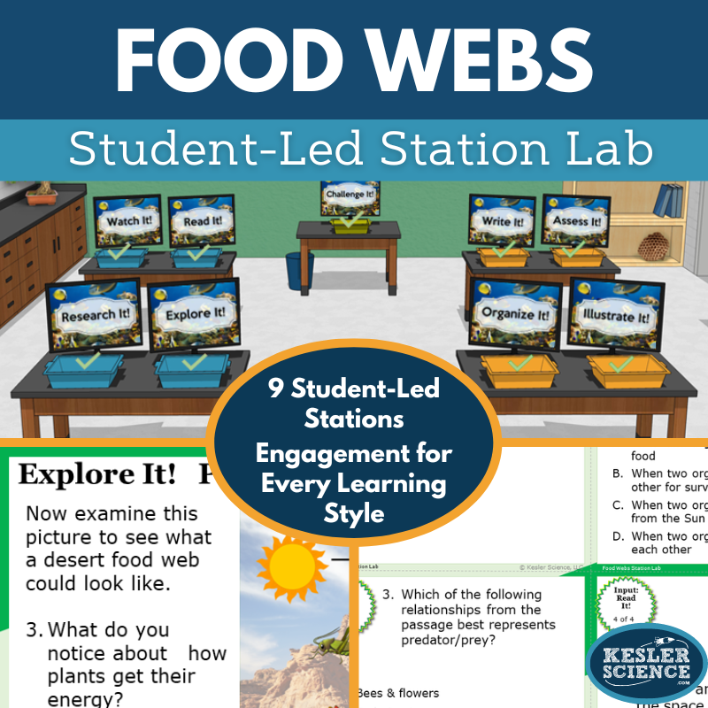 Cover 2024 SL Food Webs