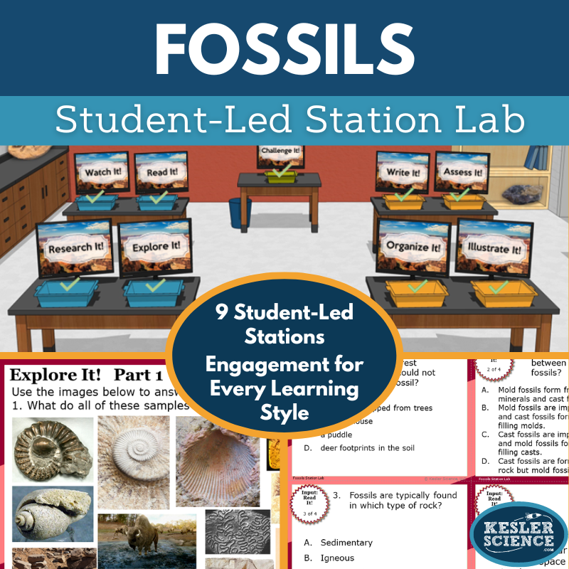 Cover 2024 SL Fossils-1