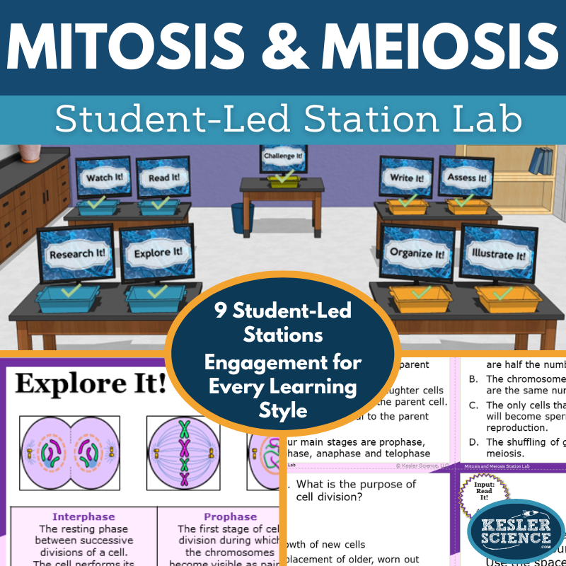 Cover 2024 SL Mitosis Meiosis