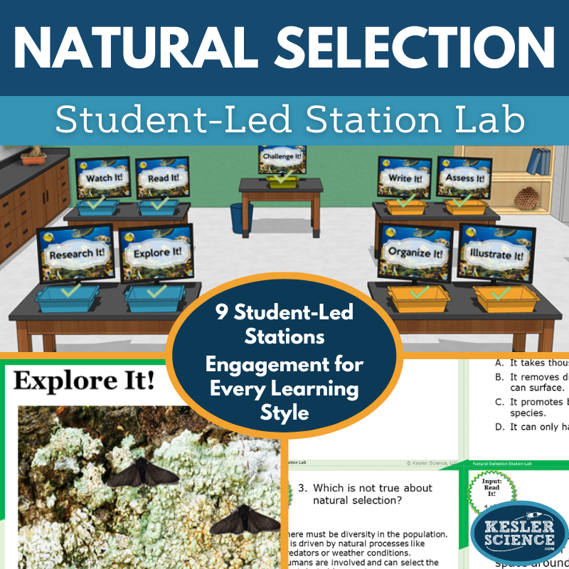 Cover 2024 SL Natural Selection