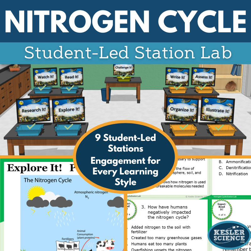 Cover 2024 SL Nitrogen Cycle