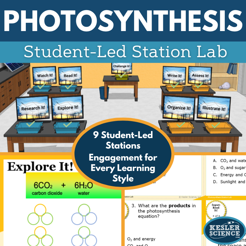 Cover 2024 SL Photosynthesis