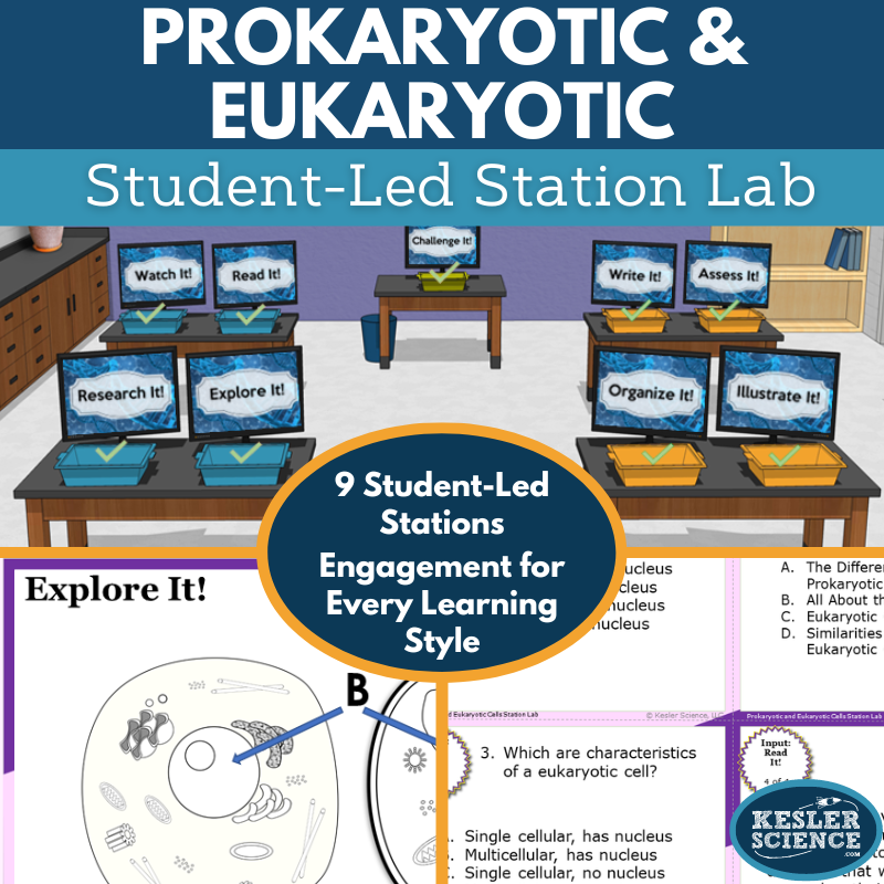 Cover 2024 SL Prokaryotic Eukaryotic
