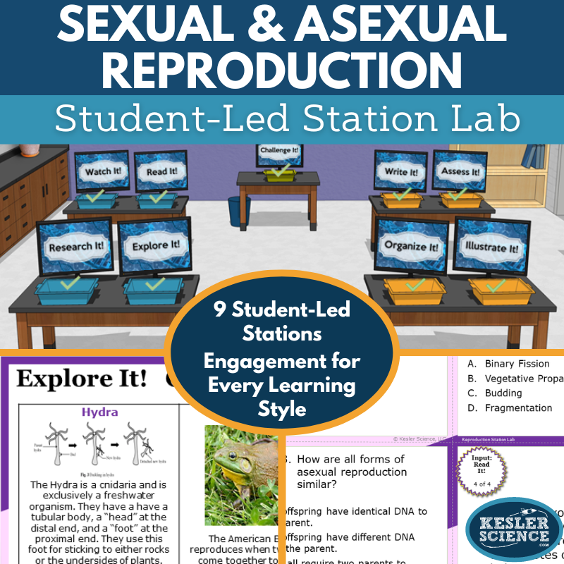Cover 2024 SL Sexual Asexual Reproduction