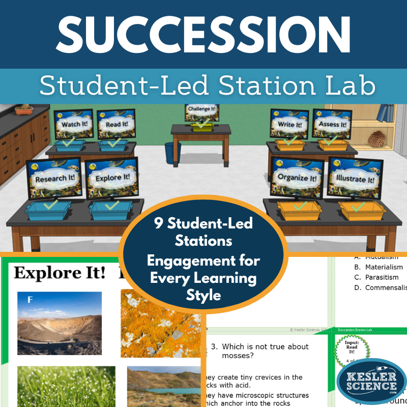 Cover 2024 SL Succession