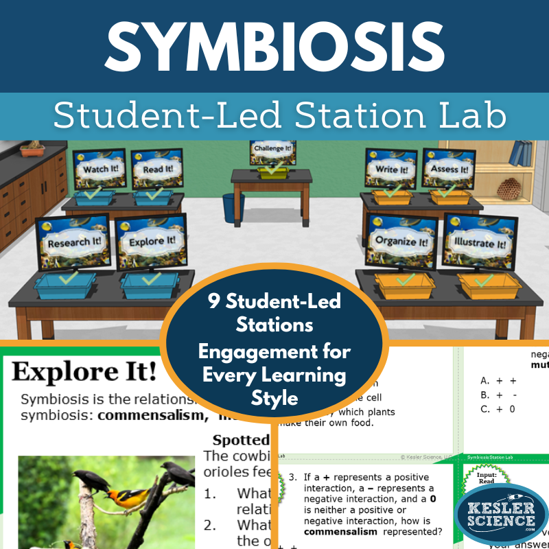 Cover 2024 SL Symbiosis