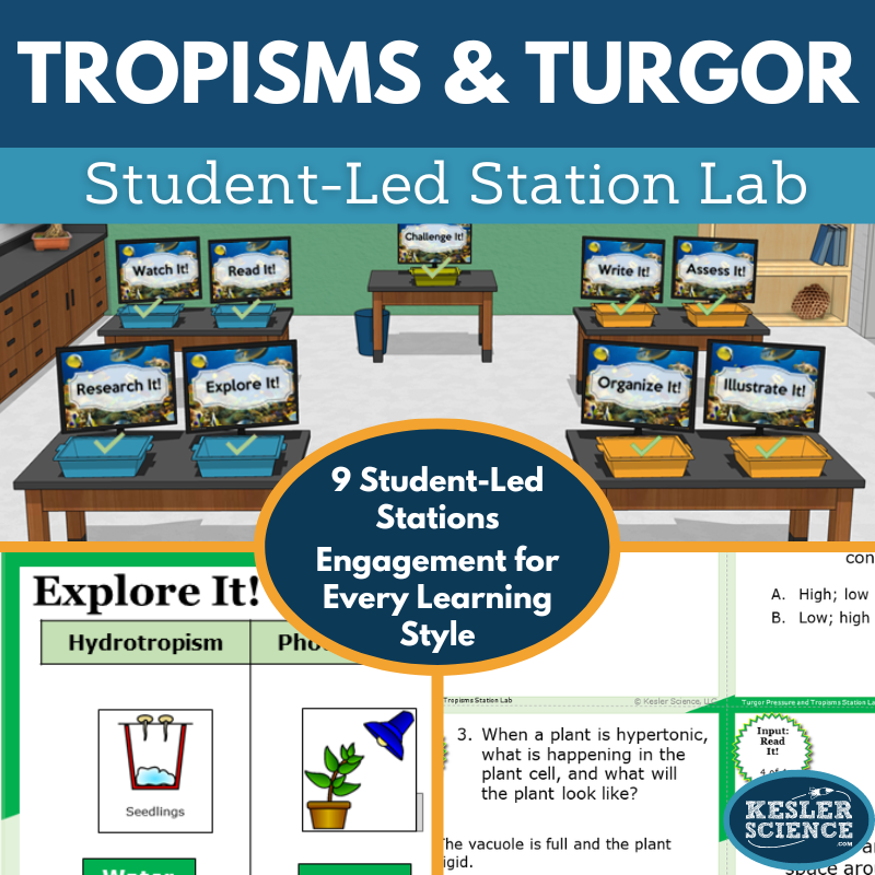 Cover 2024 SL Tropisms Turgor