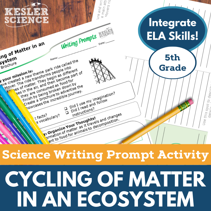 Cover Cycling of Matter in an Ecosystem-1