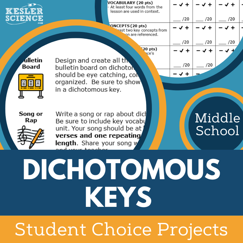 Cover Dichotomous Keys