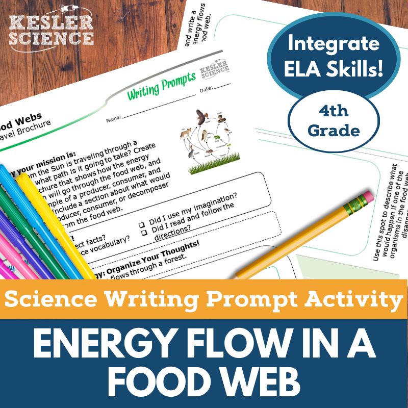 Cover Energy Flow of a Food Webs-1