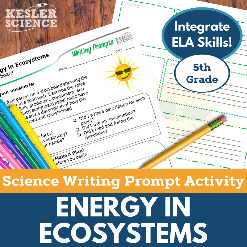 Cover Energy in Ecosystems-1