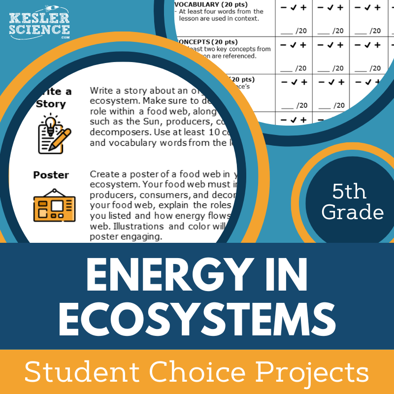 Cover Energy in Ecosystems
