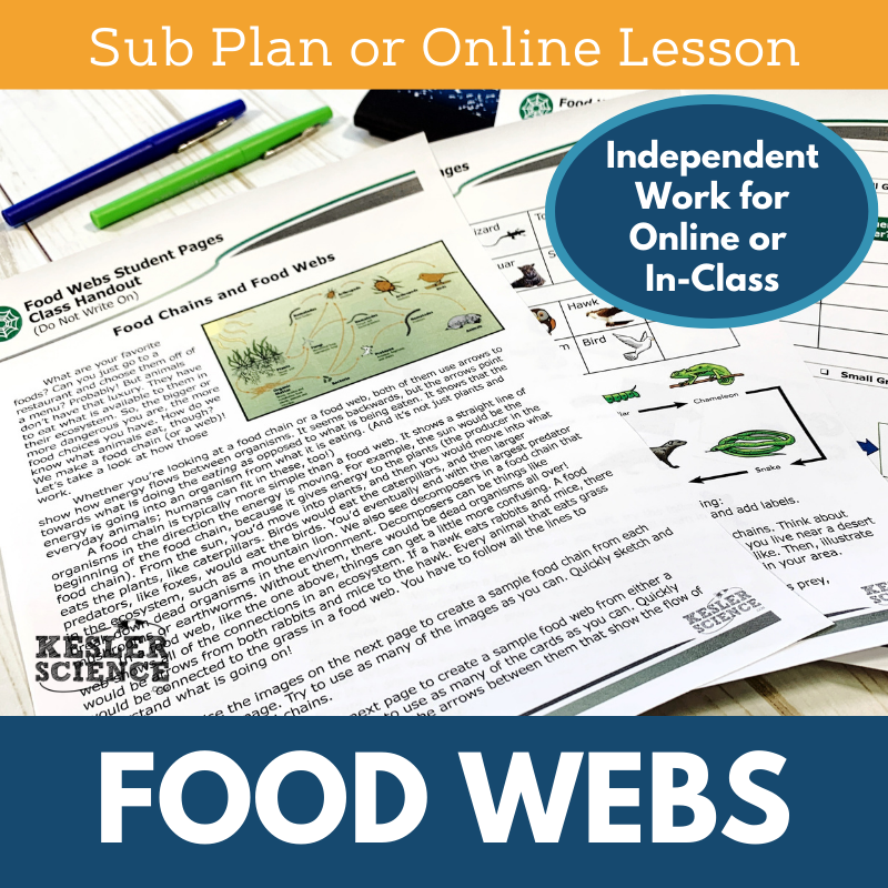 Cover Food Webs-3