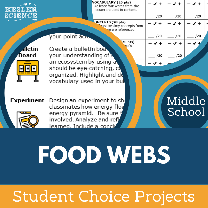 Cover Food Webs