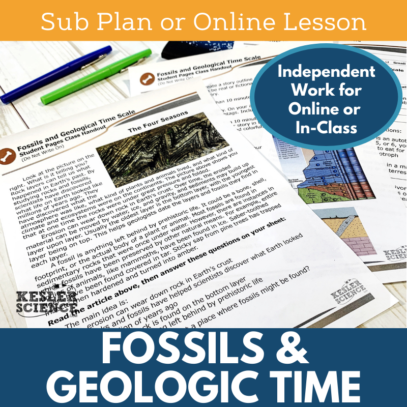 Cover Fossils and Geologic Time
