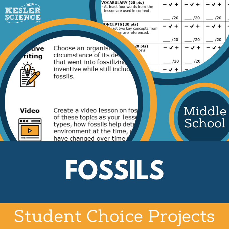 Cover Fossils