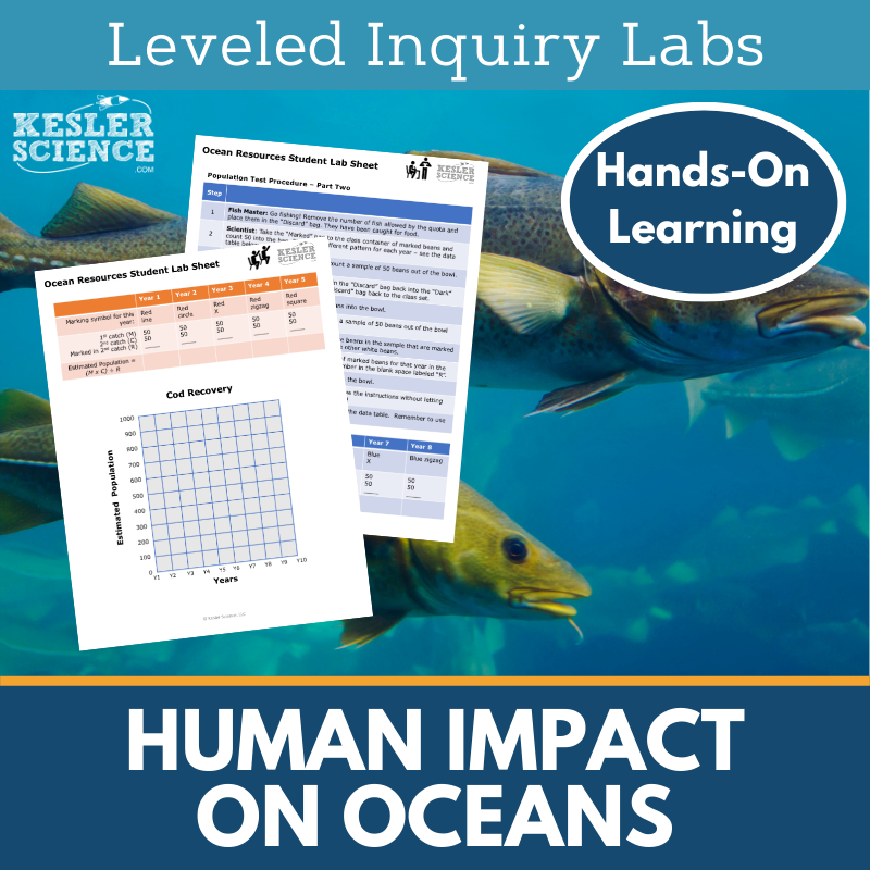 Cover Human Impact on Oceans