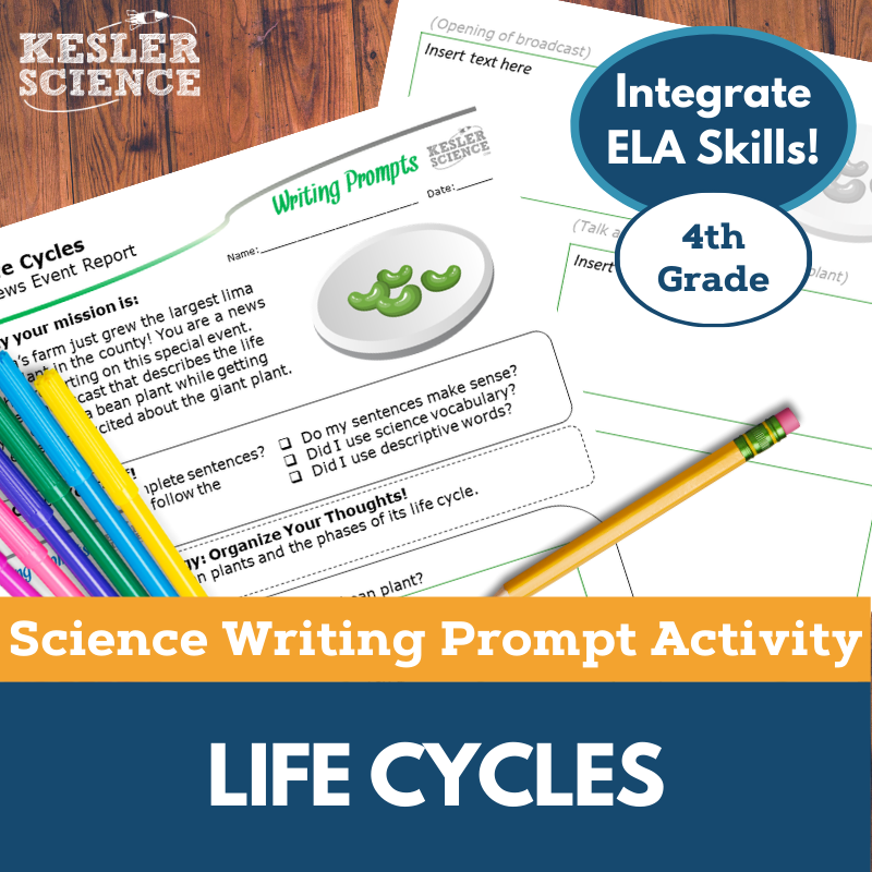 Cover Life Cycles
