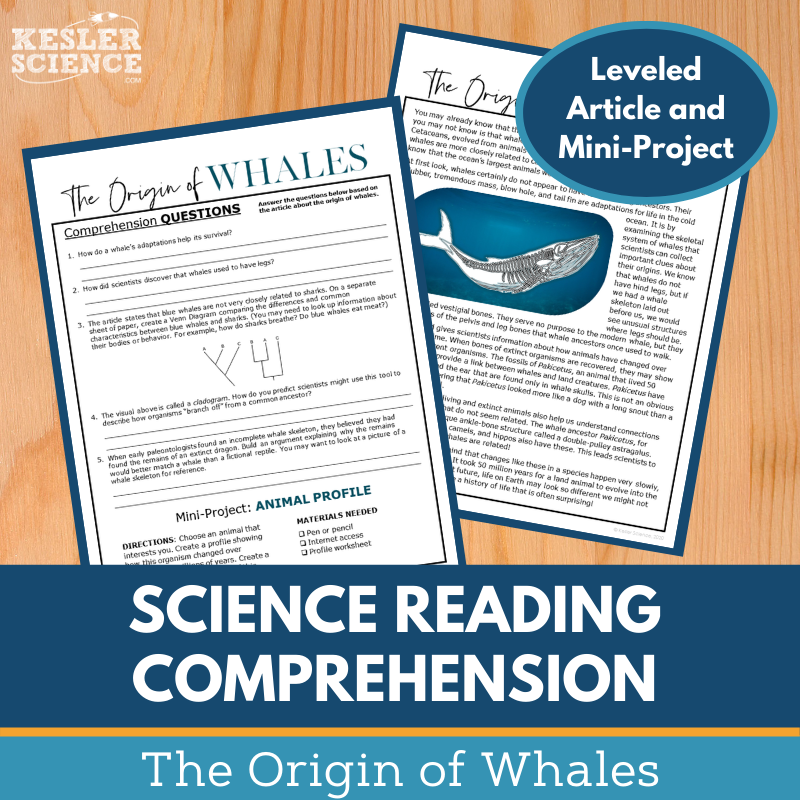 Cover Origin of Whales