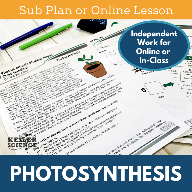 Cover Photosynthesis-2