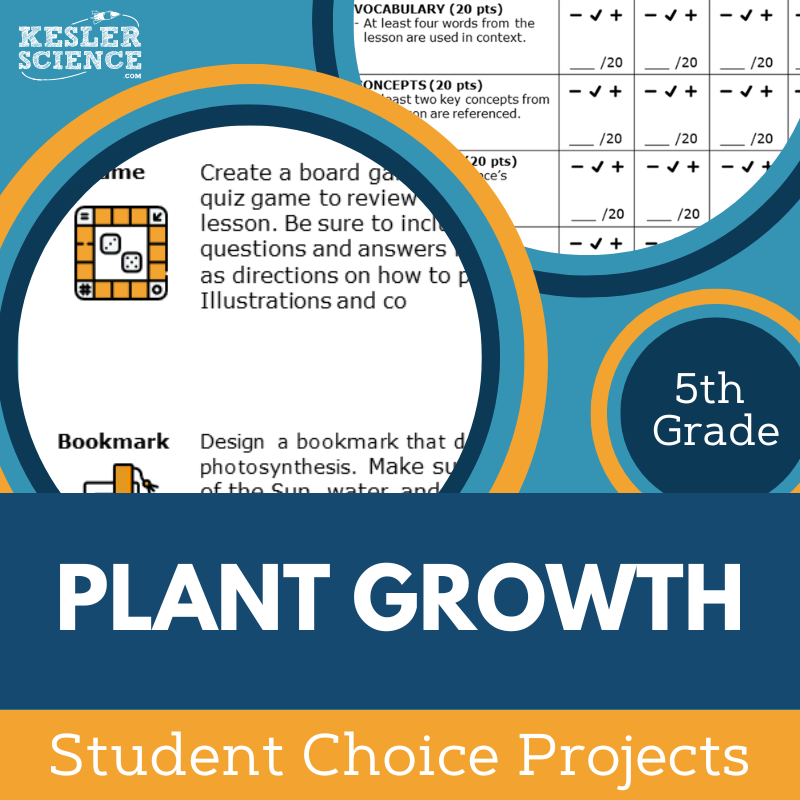 Cover Plant Growth