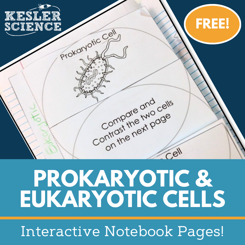 Cover Prokaryotic and Eukaryotic Cells (3)