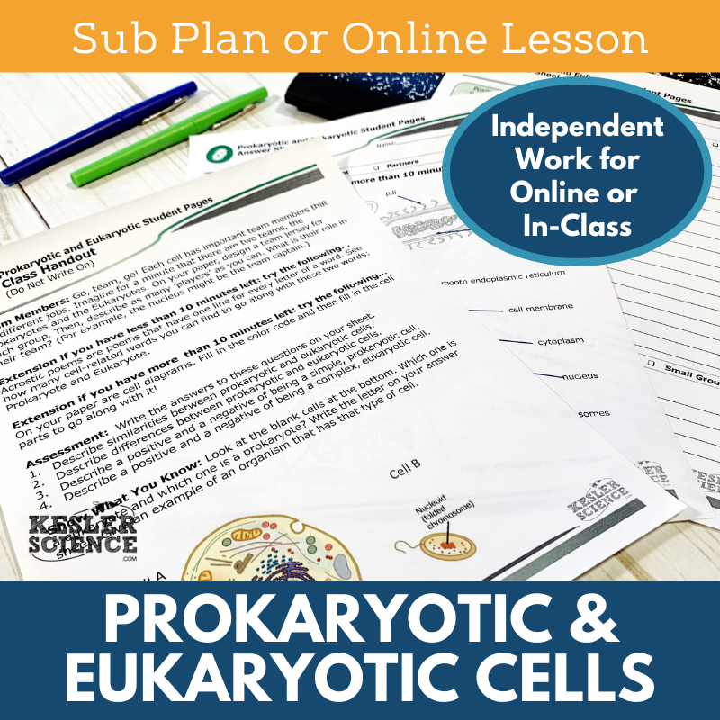 Cover Prokaryotic and Eukaryotic-1