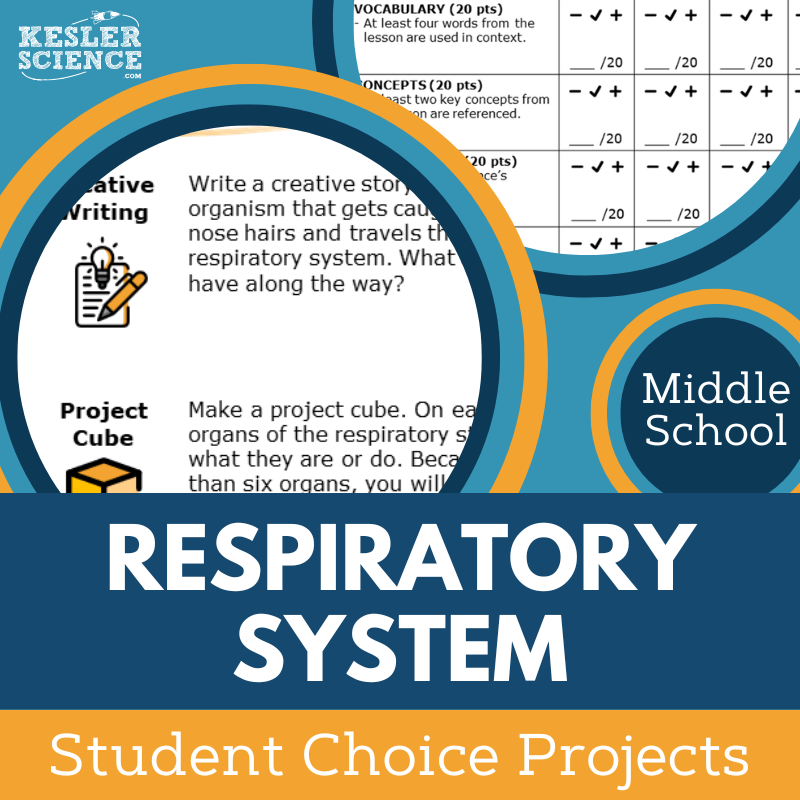 Cover Respiratory System