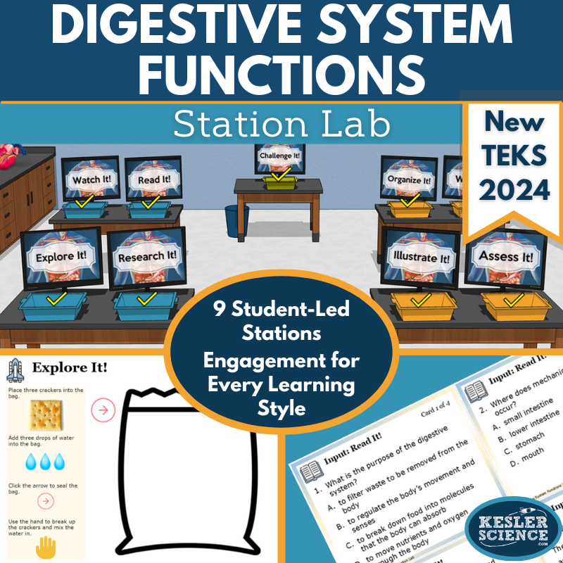 Cover SL NewTEKS Digestive