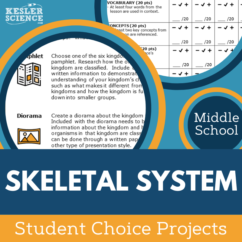 Cover Skeletal System