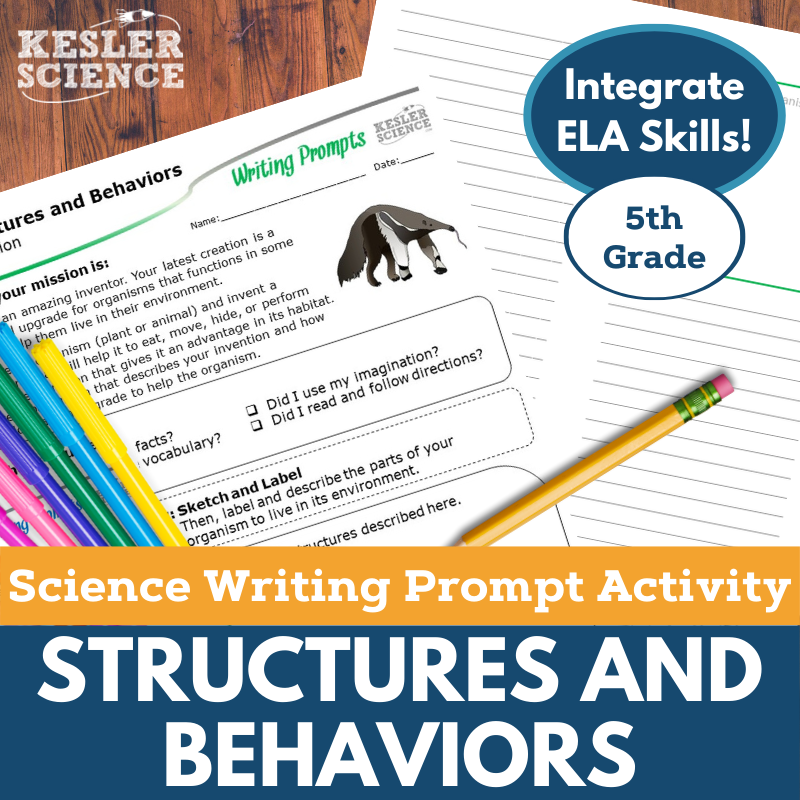 Cover Structures and Behaviors-2