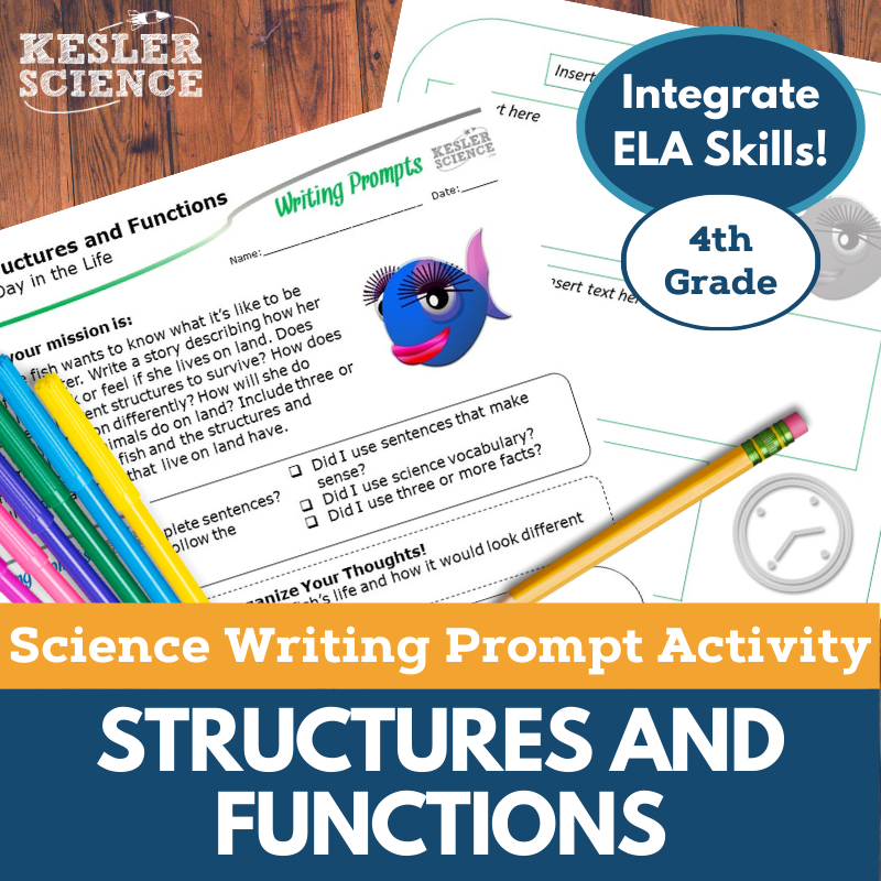 Cover Structures and Functions