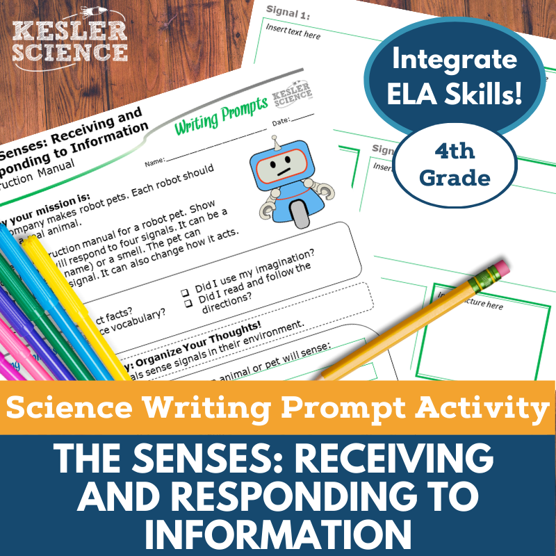 Cover The Senses Receiving and Responding to Information